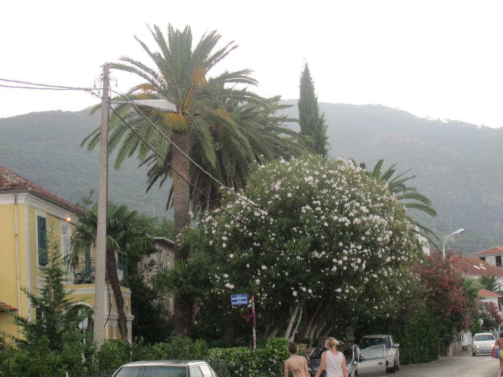 Apartments Delfin Tivat Kültér fotó